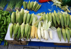 細節(jié)決定農貿市場改造實施的成敗